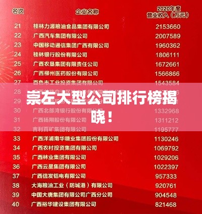 崇左大型公司排行榜揭晓!