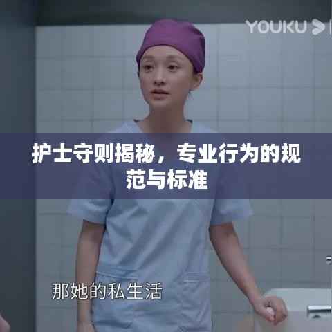 护士守则揭秘，专业行为的规范与标准