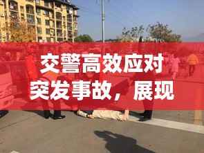 交警高效应对突发事故，展现卓越公共服务精神