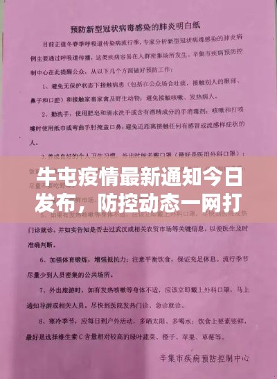 牛屯疫情最新通知今日发布，防控动态一网打尽！