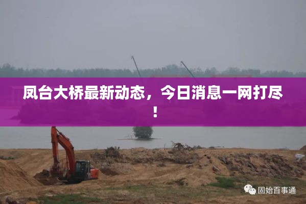 凤台大桥最新动态,今日消息一网打尽!