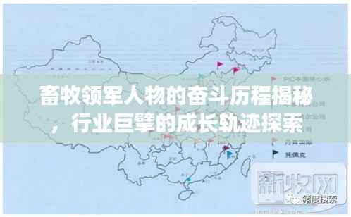 畜牧领军人物的奋斗历程揭秘，行业巨擘的成长轨迹探索