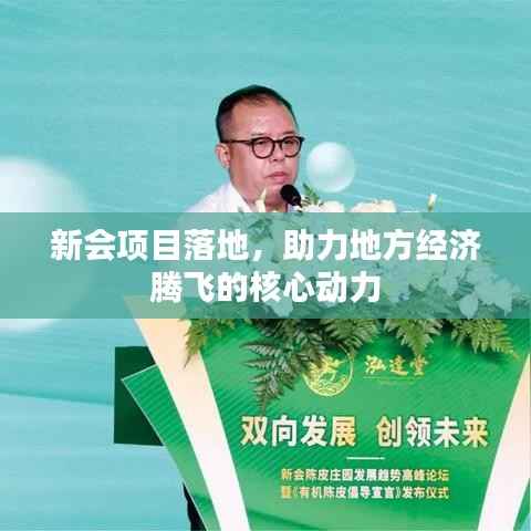 新会项目落地,助力地方经济腾飞的核心动力