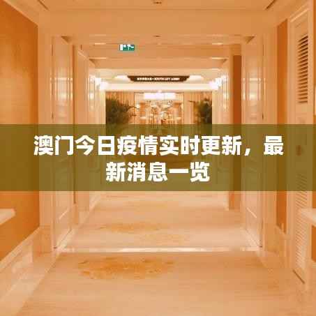 澳门今日疫情实时更新,最新消息一览