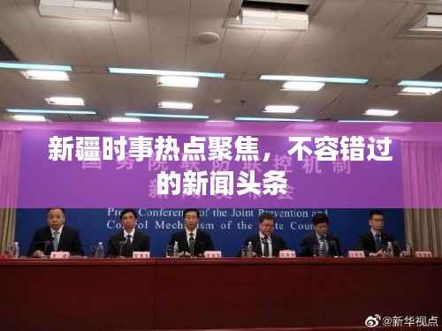 新疆时事热点聚焦,不容错过的新闻头条