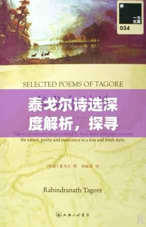 泰戈尔诗选深度解析，探寻专题中的文学魅力
