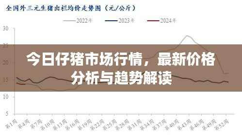 今日仔猪市场行情,最新价格分析与趋势解读
