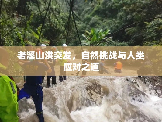 老溪山洪突发，自然挑战与人类应对之道