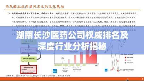 湖南长沙医药公司权威排名及深度行业分析揭秘