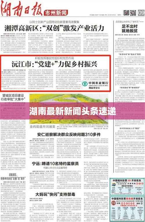 湖南最新新闻头条速递