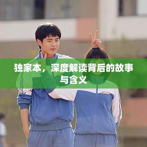 独家本,深度解读背后的故事与含义