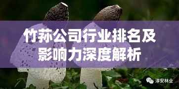 竹荪公司行业排名及影响力深度解析