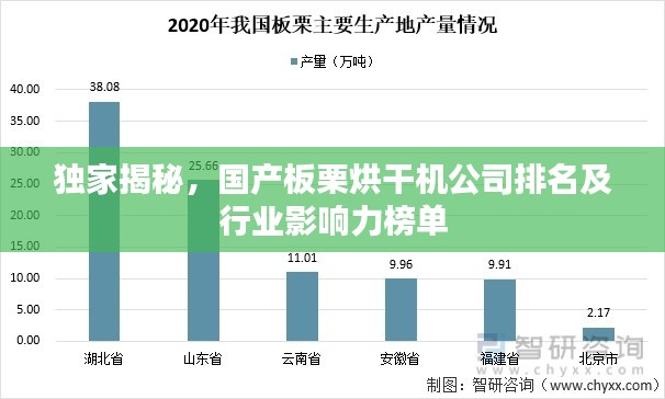 独家揭秘,国产板栗烘干机公司排名及行业影响力榜单