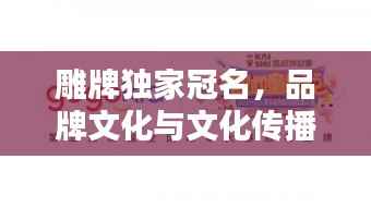 雕牌独家冠名,品牌文化与文化传播的巅峰融合