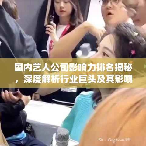 国内艺人公司影响力排名揭秘,深度解析行业巨头及其影响力