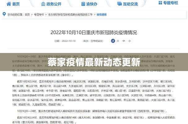 蔡家疫情最新动态更新