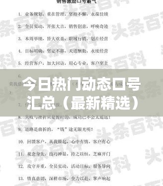 今日热门动态口号汇总(最新精选)