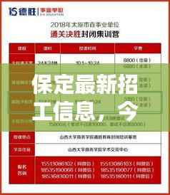 保定最新招工信息,今日岗位更新速递