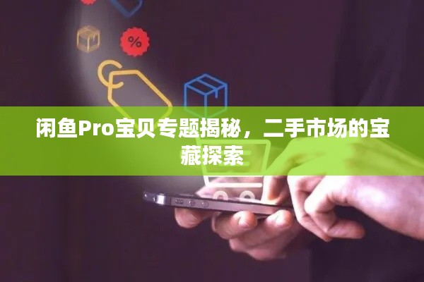闲鱼Pro宝贝专题揭秘,二手市场的宝藏探索